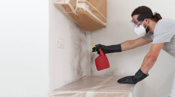 Professional Bathroom Mold Removal technician working in Hollywood, FL