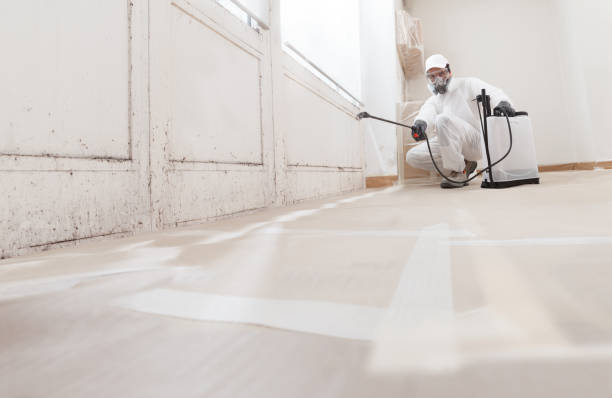 24/7 Emergency Bathroom Mold Removal experts in Hollywood, FL