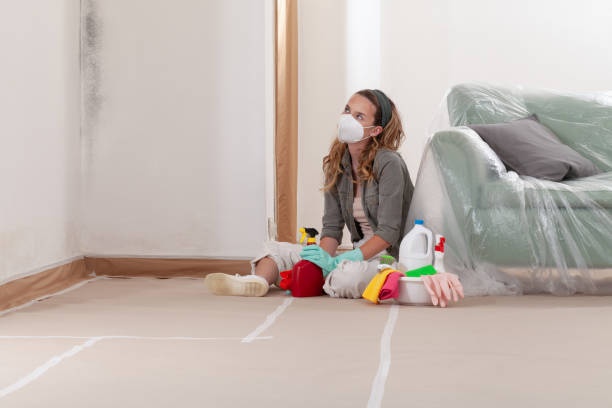 Reliable Bathroom Mold Removal contractor in Hollywood, FL by 24 Hour Mold Removal